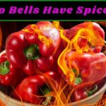 Are Bell Peppers Spicy