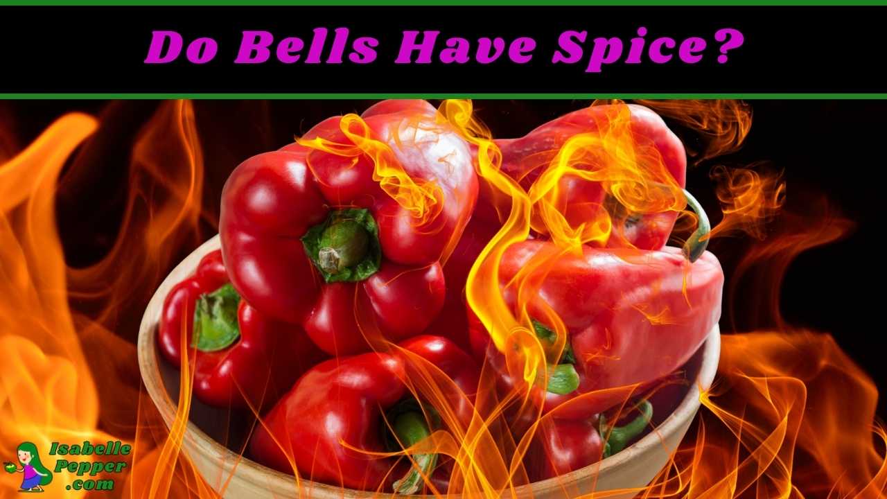 Are Bell Peppers Spicy