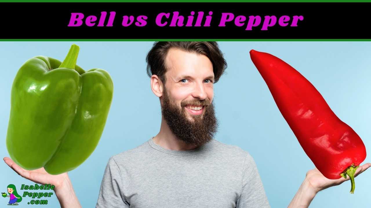 Bell Pepper vs Chili Pepper