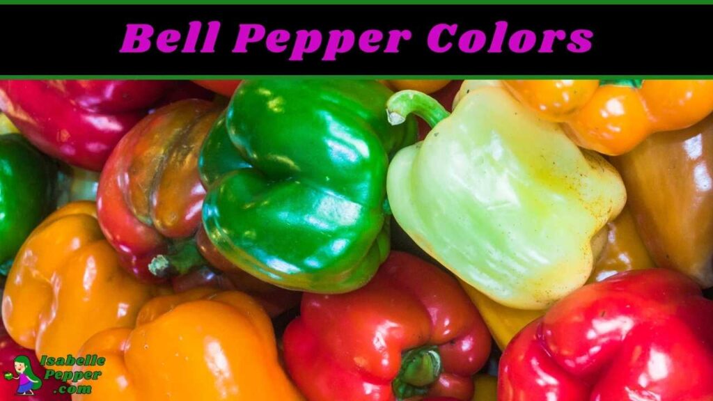 What is the Difference Between the Different Color Bell Peppers